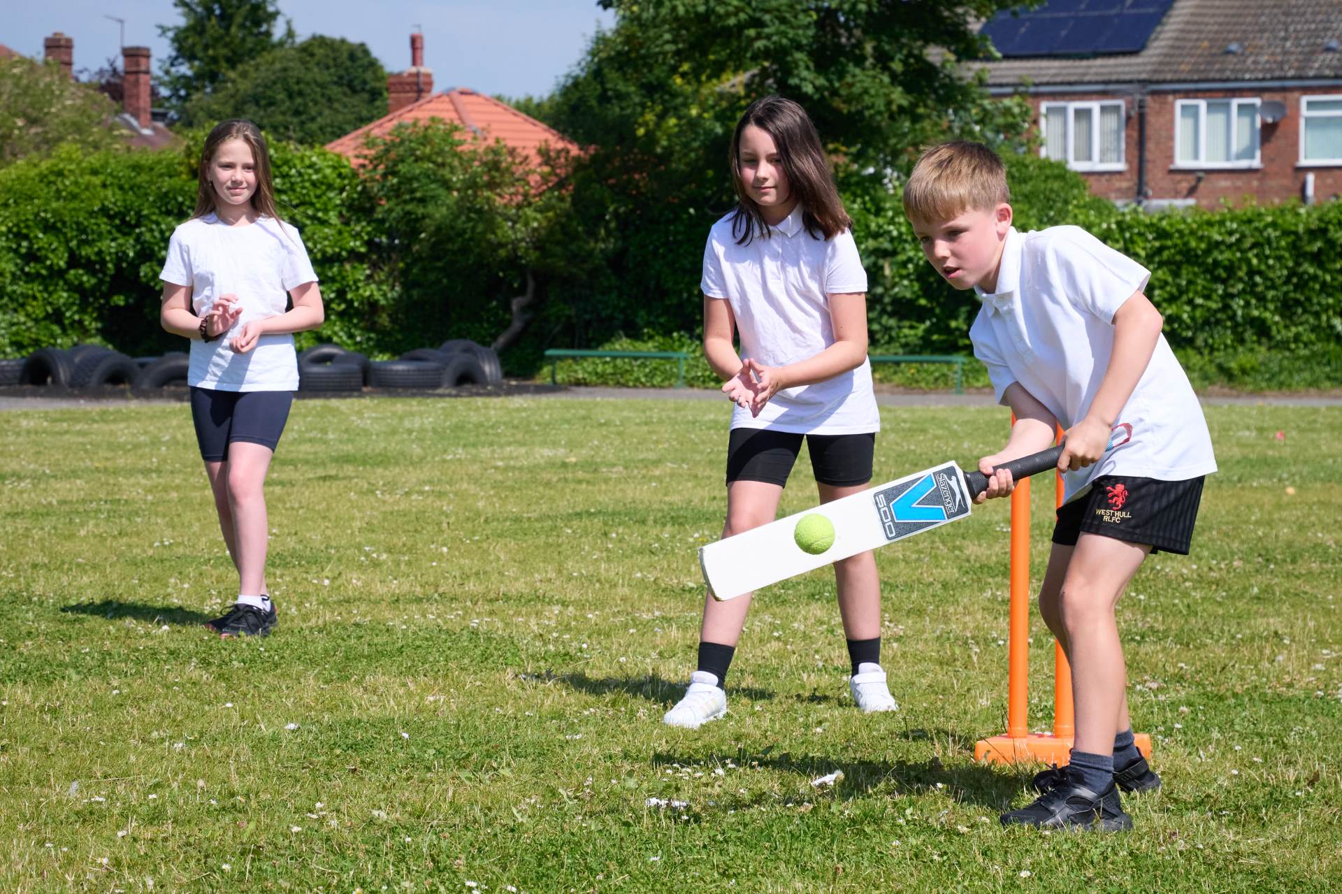 Cricket 